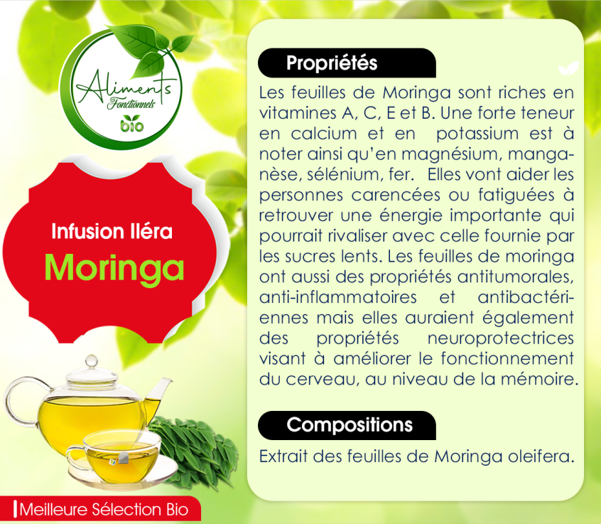 Infusion Moringa