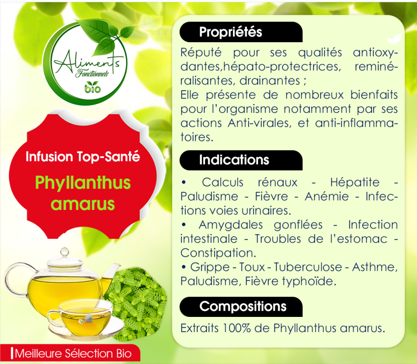 Infusion Phyllanthus amarus : Top-santé